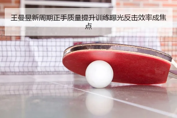 王曼昱新周期正手质量提升训练曝光反击效率成焦点