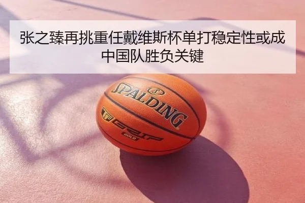 张之臻再挑重任戴维斯杯单打稳定性或成中国队胜负关键