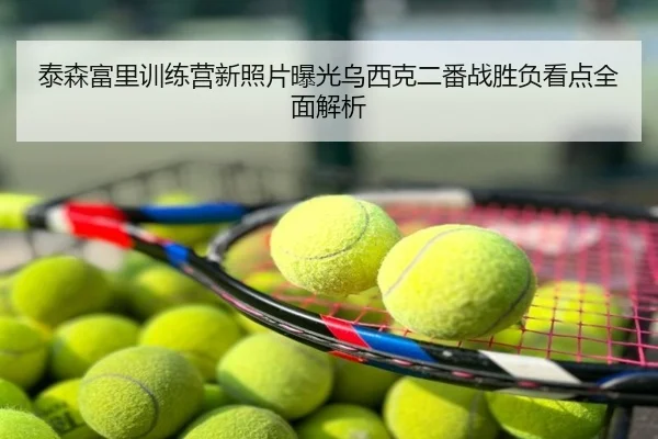 泰森富里训练营新照片曝光乌西克二番战胜负看点全面解析